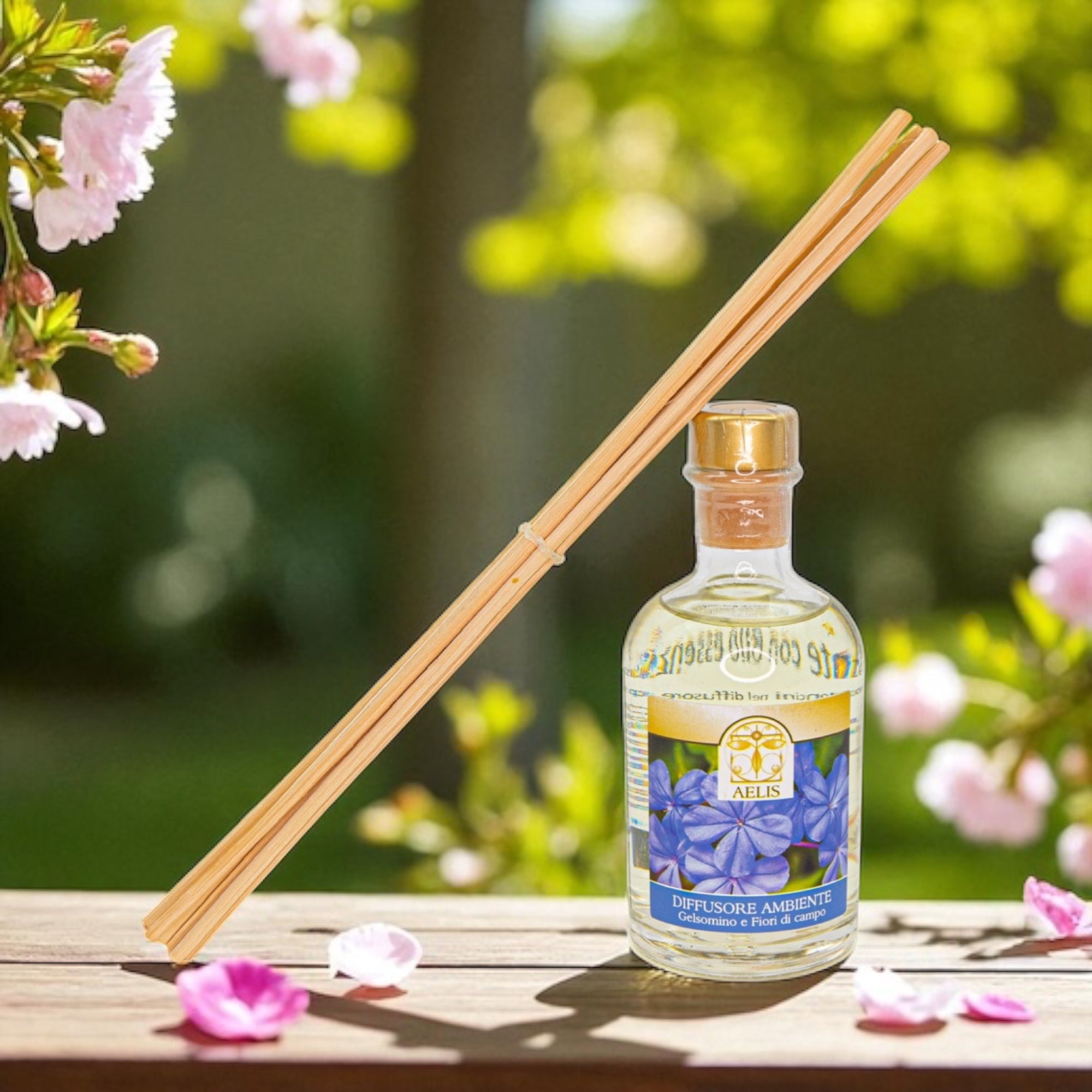 ACQUA PROFUMA AMBIENTE